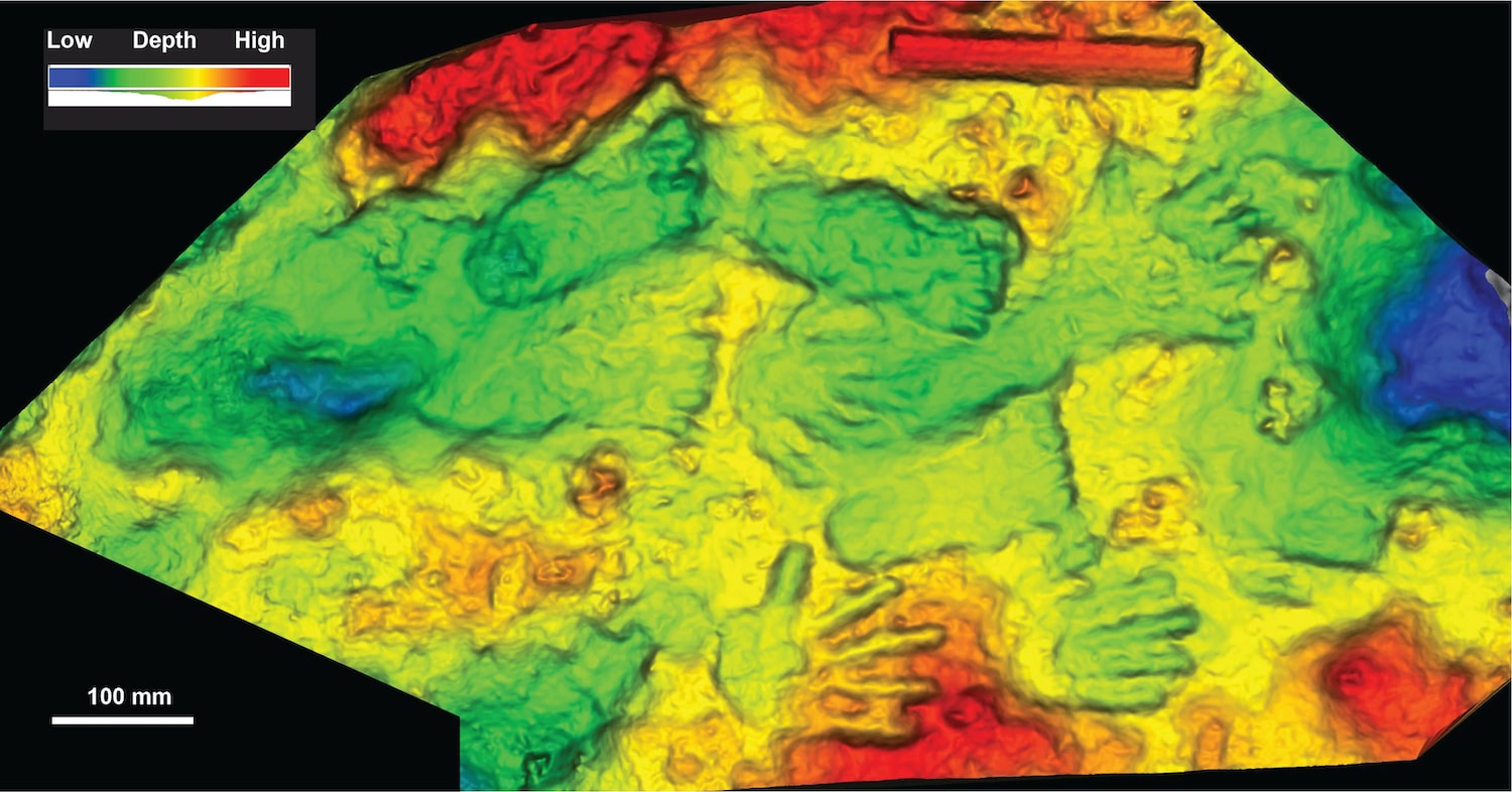 modele relief 3d empreintes fossiles quesang
