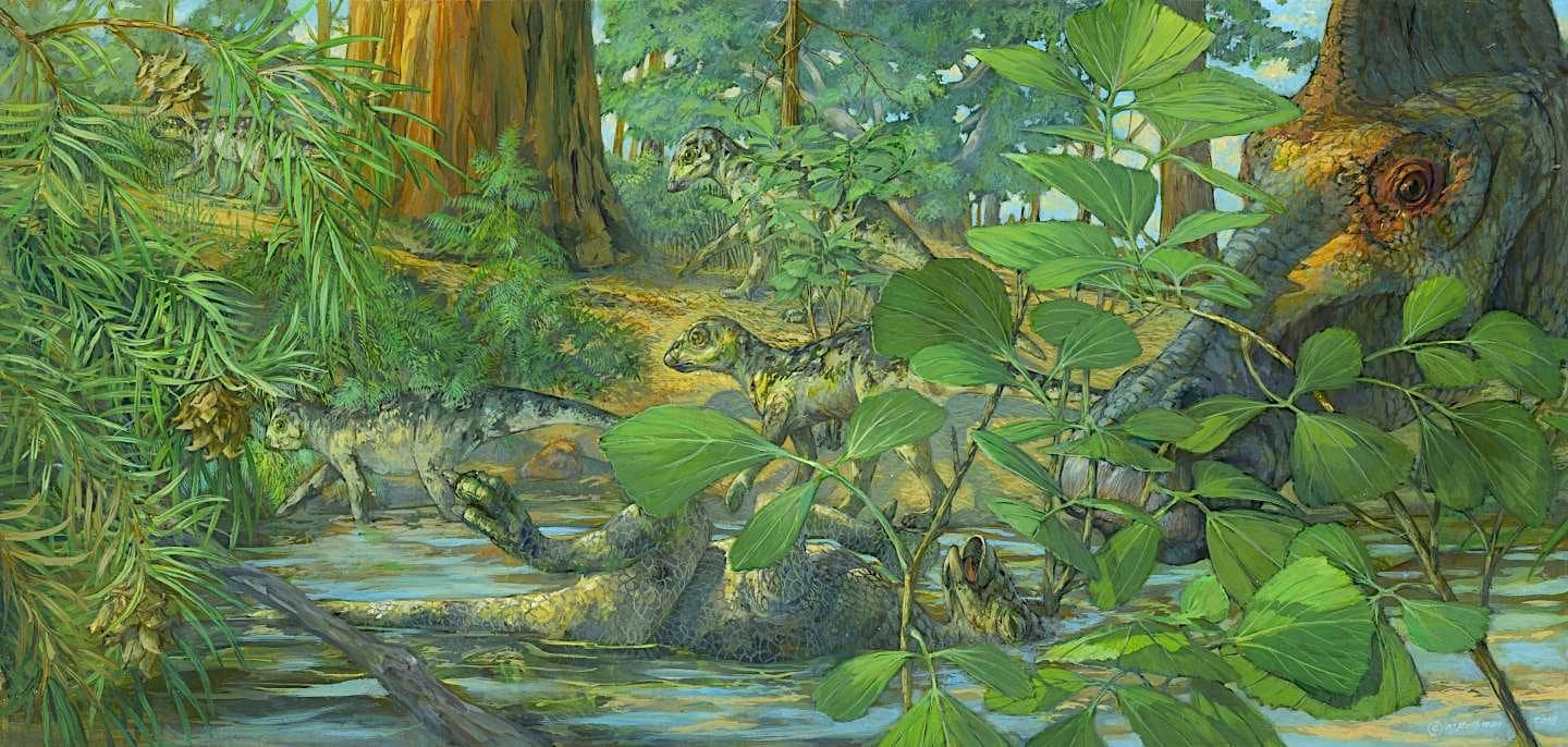reconstruction site nidification hypacrosaurus stebingeri