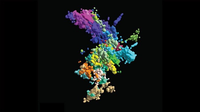 vue 3d chromatine