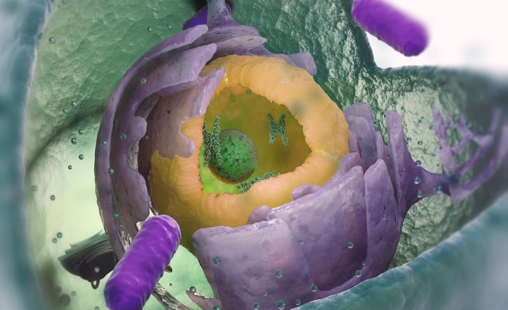 Cet étrange organisme des profondeurs pourrait cacher des secrets sur les origines de la vie complexe sur Terre