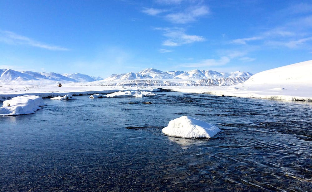 Le changement climatique augmente le risque de propagation de virus anciens aux animaux de l'Arctique
