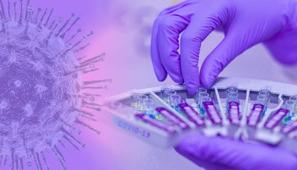 De nouvelles "affirmations" selon lesquelles le coronavirus a été créé en laboratoire ont été rejetées par la communauté scientifique