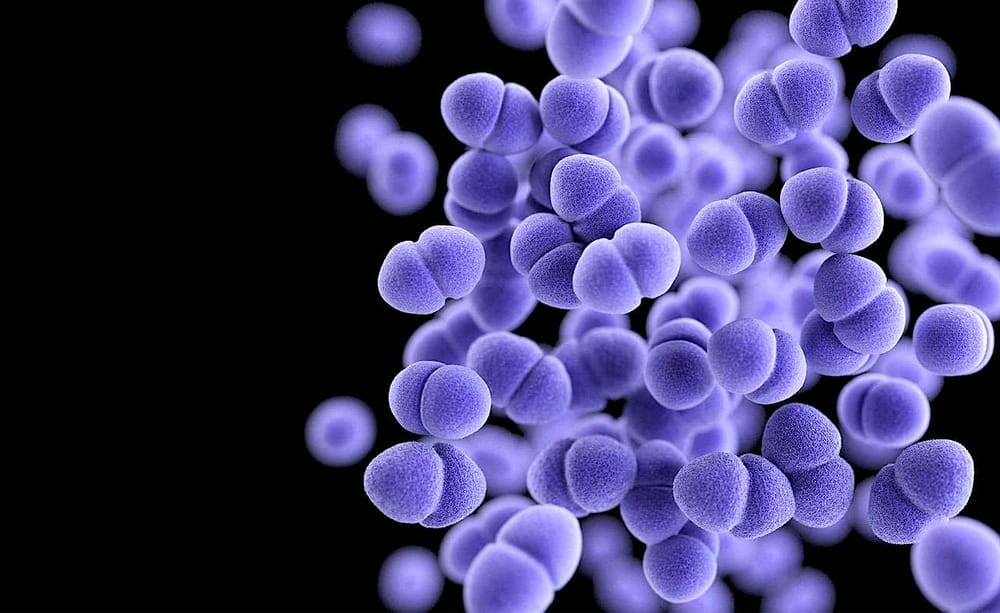 Un nouveau médicament contre les superbactéries mortelles pourrait sauver des dizaines de milliers de vies