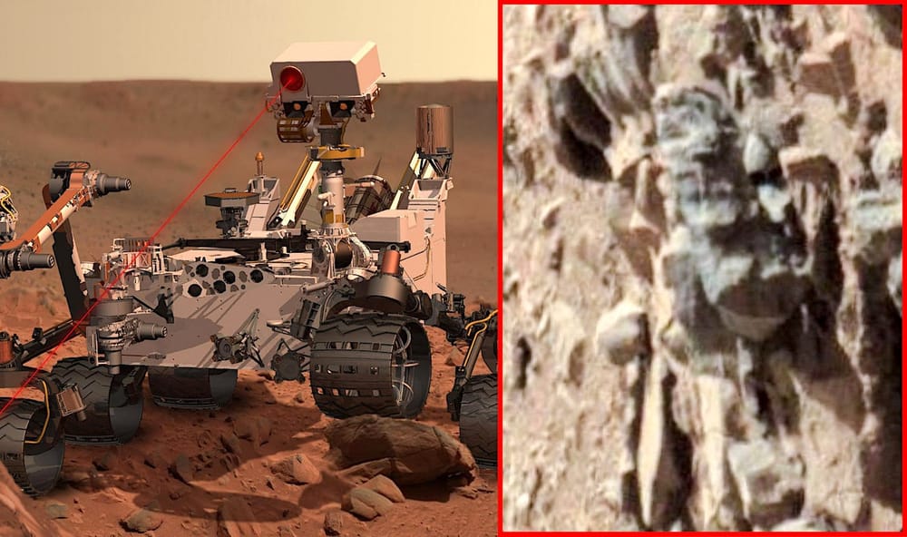 L'université de l'Ohio supprime le communiqué concernant l'étude montrant des "preuves" de présence d'insectes sur Mars