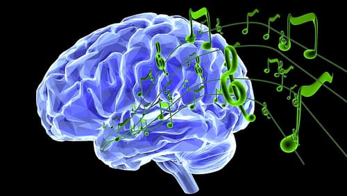 Comment le fait de jouer de la batterie change-t-il le cerveau ?