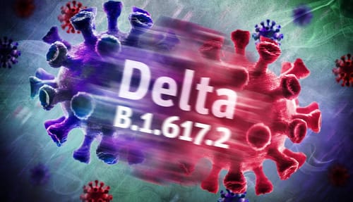 Le variant Delta en passe de devenir la cause dominante de COVID-19 dans le monde
